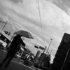君は残暑をみたか
