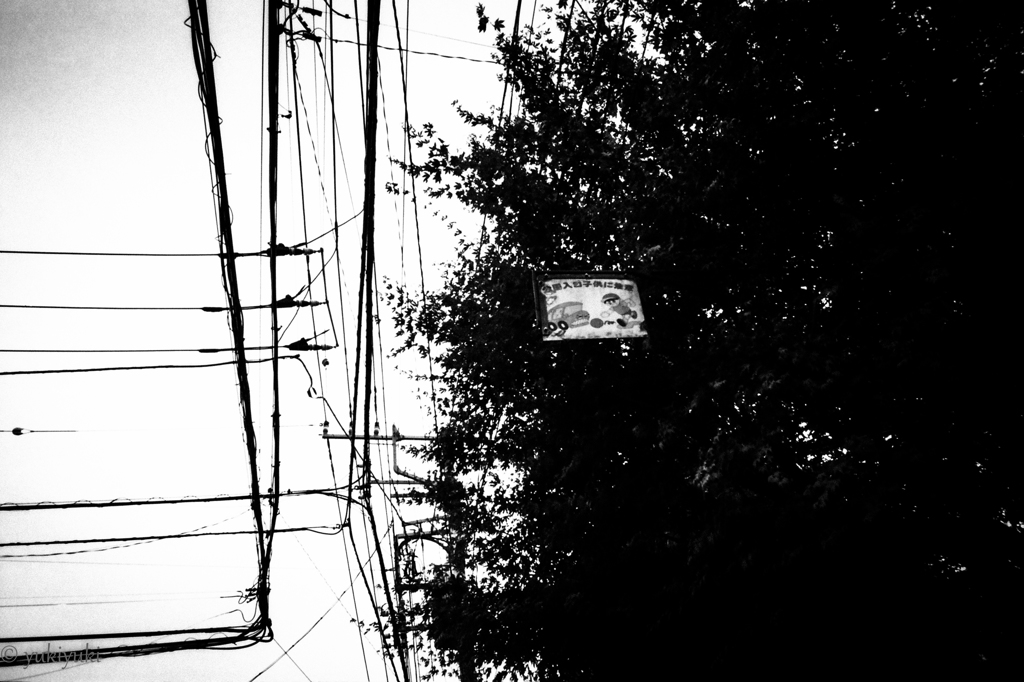 れっきとした看板