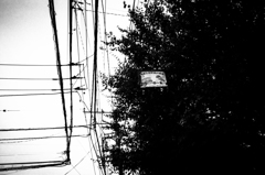 れっきとした看板