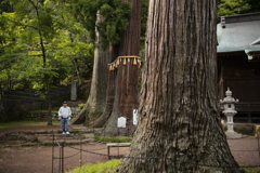 デカ過ぎないか