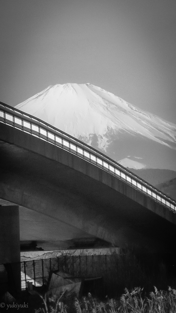 富士が居た