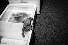 おっさんからの脱走