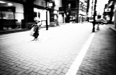 ついに捉えたコロボックル