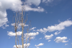 空を見上げたとき