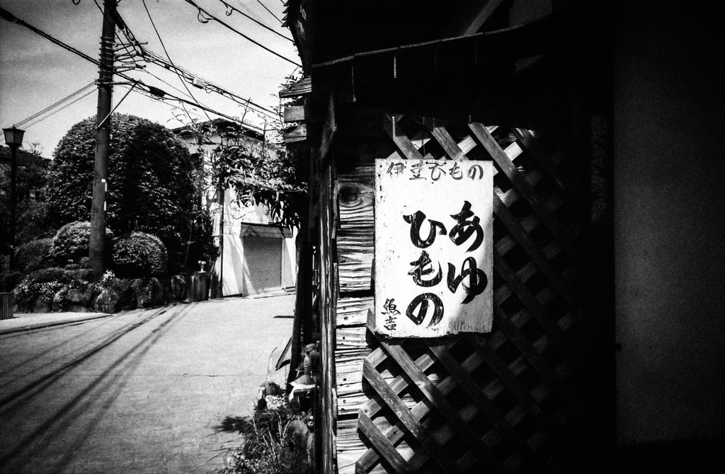 伊豆のゆきゆき