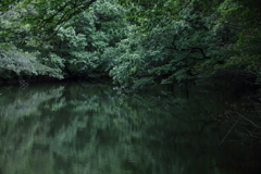 吸いこまれた沼