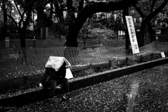 凶日　桜見日和　1