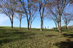 散歩はひとつの物語として