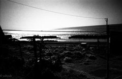 東海物語　オーシャンブラック