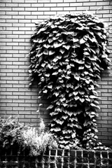 ある意味、キモイ