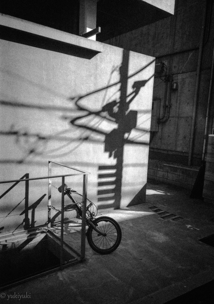 生きていたシャドー