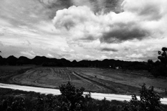 in the distance・・灼熱の雨季