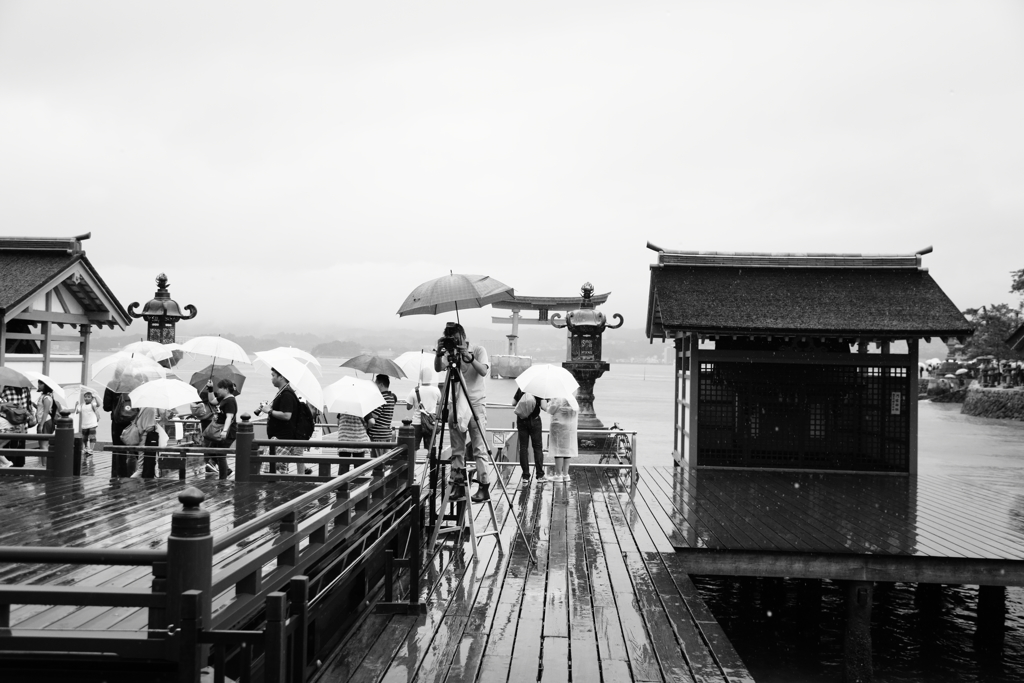 厳島神社で撮られた