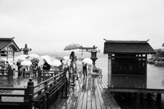 厳島神社で撮られた