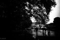 凶日　桜見日和　2