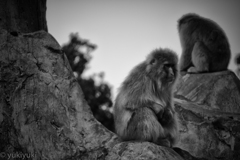 やっぱ、俺とお前は合わないよ