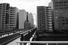 ありきたりの日曜は幸福な日