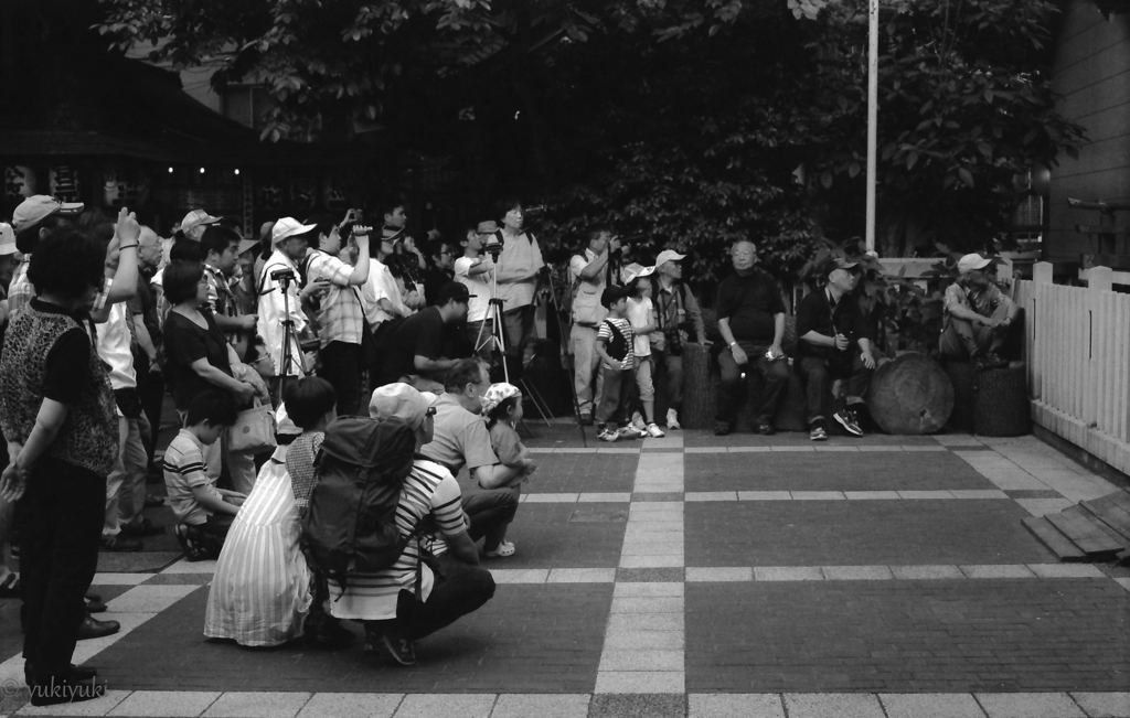 見学者