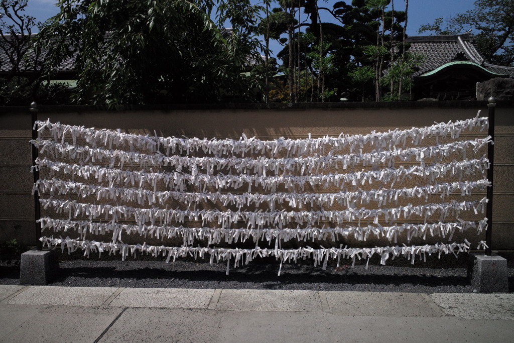 願いのカーテン