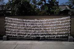 願いのカーテン