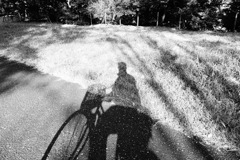 蜘蛛自転車に乗る