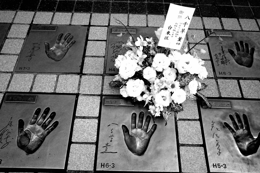 ありがとう八千草薫さん