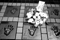 ありがとう八千草薫さん