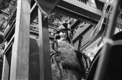 生きてるかい？