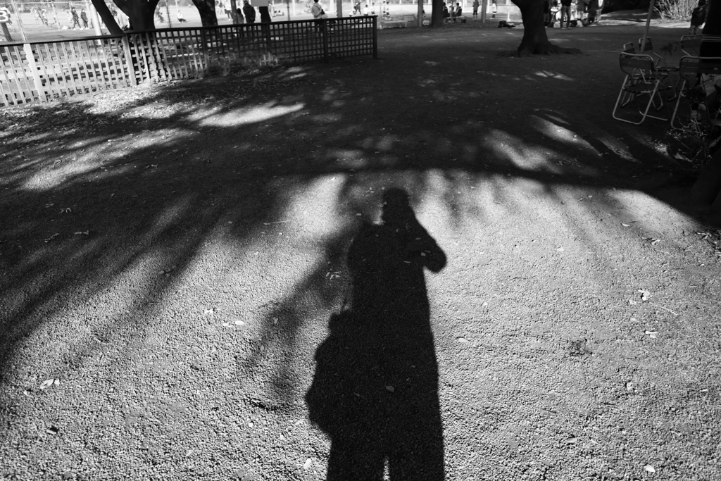 ゆきゆきが撮る秋