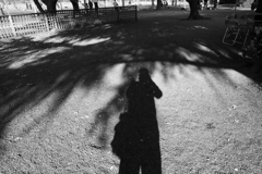 ゆきゆきが撮る秋