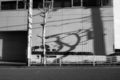 イタズラ書き的な影