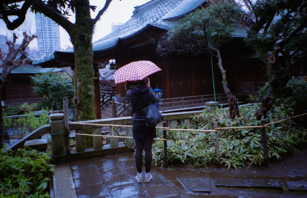 雨の日のあの娘