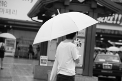 オリビアを聴きながら　宮島