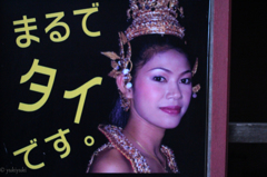 間違いなく「タイ」です