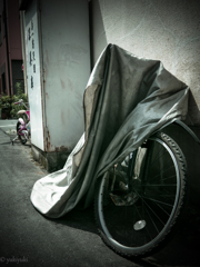 ある自転車の駐車