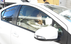 運転中の女