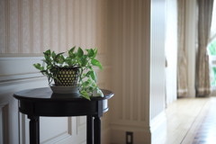 すっきりした植木