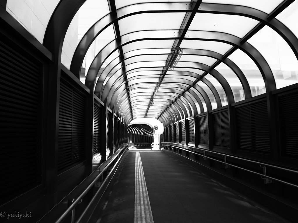 迷わず行こうぜ