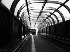 迷わず行こうぜ