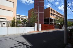 ３年Ｂ組ゆきゆき先生　リアル桜中学