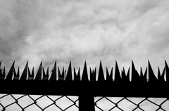 フェンスの向こうは近くて遠い