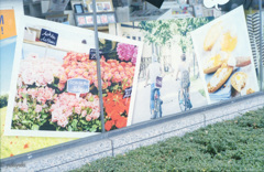 カラフルな日曜