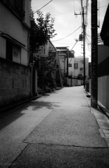 無人路地