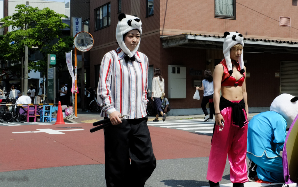 あるパンダ