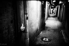 フレディがやってくる