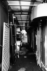 この奥へ行け