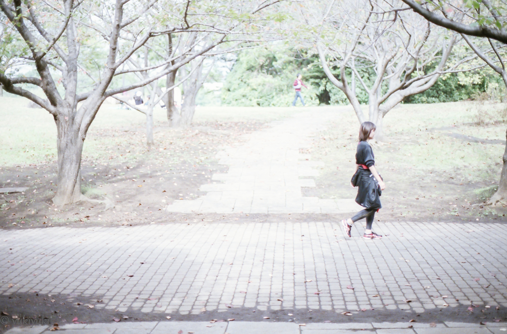 公園と彼女の午後