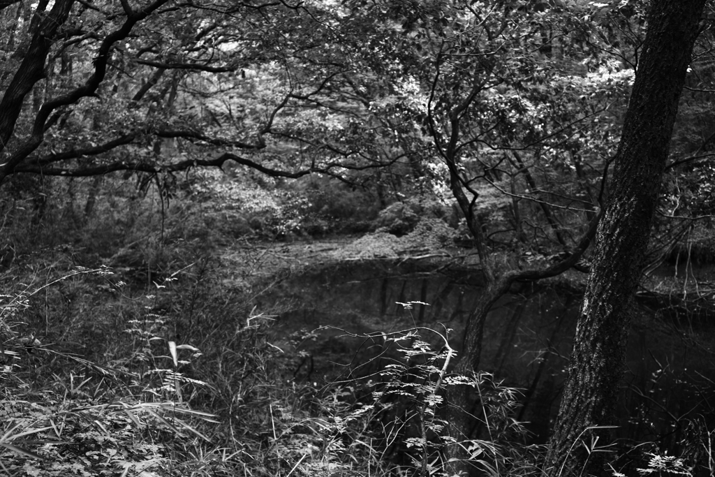 人食い沼(私の原点考　2)