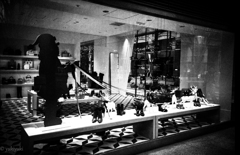 トナカイを操る男