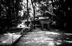 東海物語　行けば分かるさ